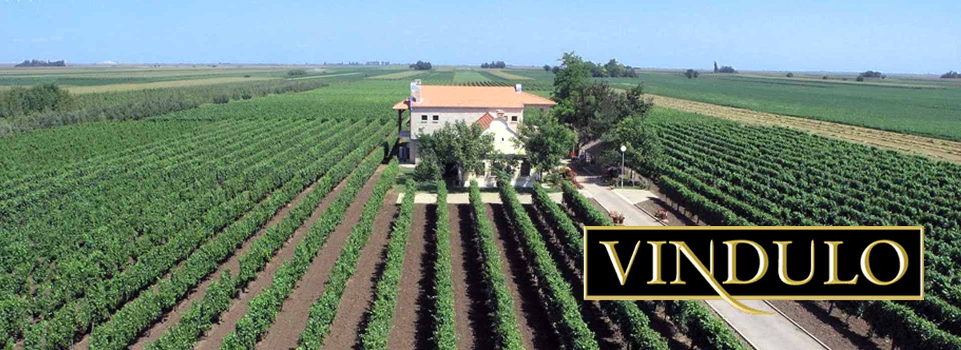 Vindulo